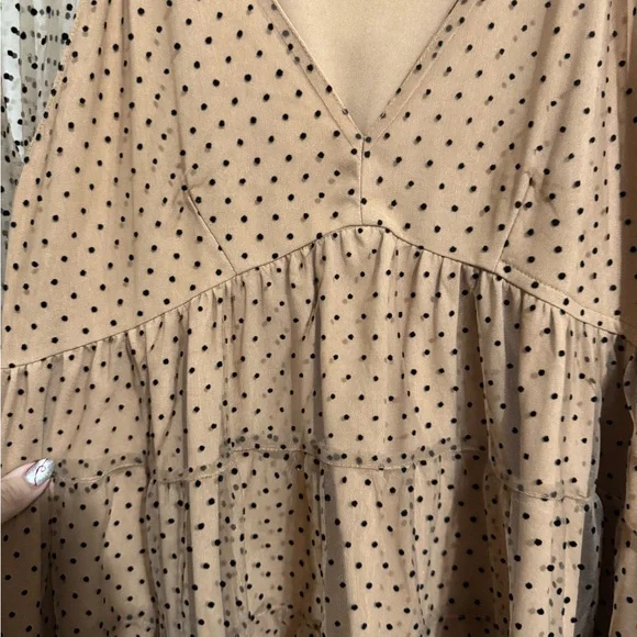 Entro Tan Polka Dot Long Sleeve Dress with Sheer Sleeves - Picture 4 of 5